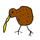 kiwi_99