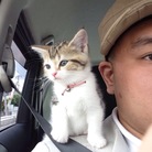 にゃんこ堂 By TeamD2E ( Die_By_TeamD2E )