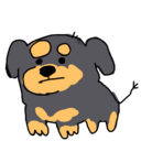 tonnsuke