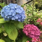 「政府の赤字はみんなの黒字」「税は財源ではない」 ( Kyoko_Nagaoka )