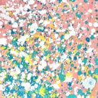 popori ( pop_colori )