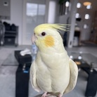 M's Style ( sanapooh )