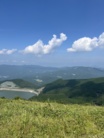 FUWAFUWAPAWS ( H_M0824 )