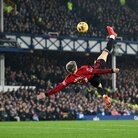 りゅう ( garyuu3100 )