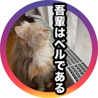 吾輩はベルである。ショップ ( luckycatbelle )