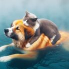 Canelet ( Yubokumin )