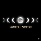 aesthetic addiction ( osushikoubou )