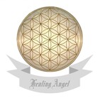 Healing Angel ( HealingAngel )
