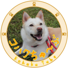 コハクちゅーぶショップ ( KohakuTube )