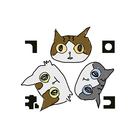 Tシャツ屋ちゃんFURONEKO ( FURONEKO )