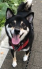 Maki-Sota