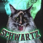THE SCHWARTZ PICTURE SHOW ( Schwartz_v_a )