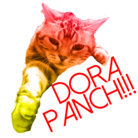 アメショのドラ猫ちゃん（18）のお店 ( DORANEKOCHAN )