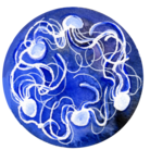 あまえび堂 ( AKi_Ibaraki )