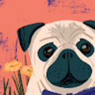 三河の狂犬 ( maddogofjoytoy )