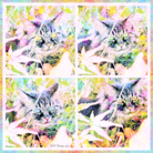 O-change