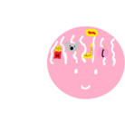 オカヤマズ ( okayamaz_01 )