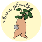 akami plants ( akamiplants )