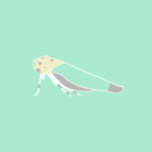BANANA_BUG
