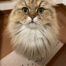 La-Luna  ( La-luna )