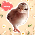 Money the Bird ( money_the_bird )