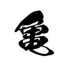 亀甲女子 ( kikko_joshi )