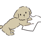 トイプー飼い ( madai_ )