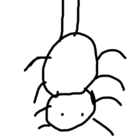 Spider love ( Spiderlove )