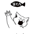 サミー ( sammikurita )