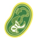 mitochondrion（ミトコンドリア） ( mitochondrion358 )