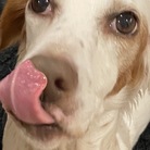 サリュ工房 ( ninja-LZHcdUm4mD1j )