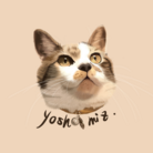 yoshimiz. ( yoshimiz )