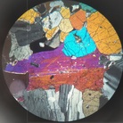 石と化石 ( stone_fossil )