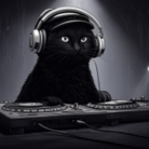 響樂 -BiGAKU- ( tokusan_ongaku )