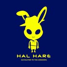 USAGI DUNGEON ( HALHARE )