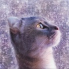 MUYU /  Animal Artist ( muyu_animalart )