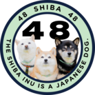 柴-SHIBA-48-シバ ( San-Shiba )