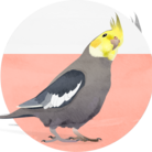 uchinocos ( cotorino_hirameki )