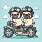 パグライダーズ ( Kazutoto )