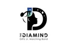 岐阜ジュニアマーチングバンドThe Diamind ( Gifu-jr-marching-band_Diamind )