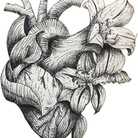 Dot & Soul ( daicho1119 )