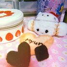 まねきぱんだ🐼🦭羊毛フェルト ( nf_panda0901 )