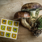 きのこと切手と好きなヤツ ( kinoko_to )