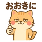 佐藤蓮 ( sato_ren-IT )