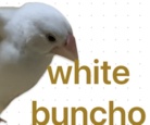 ほわいとぶんちょう ( white_buncho )