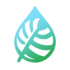 緑のしずく ( LeafyDrop )