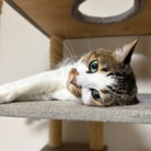 うちの子 ( skuromaki )