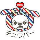 HARAJUKU_CHUPER