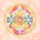 NYmoon ( ninja-hmKbO3dZyism )