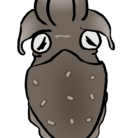 lrlr ( lrlr_angler )